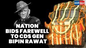 'Antim Yatra': CDS Gen Bipin Rawat's Last Rites
